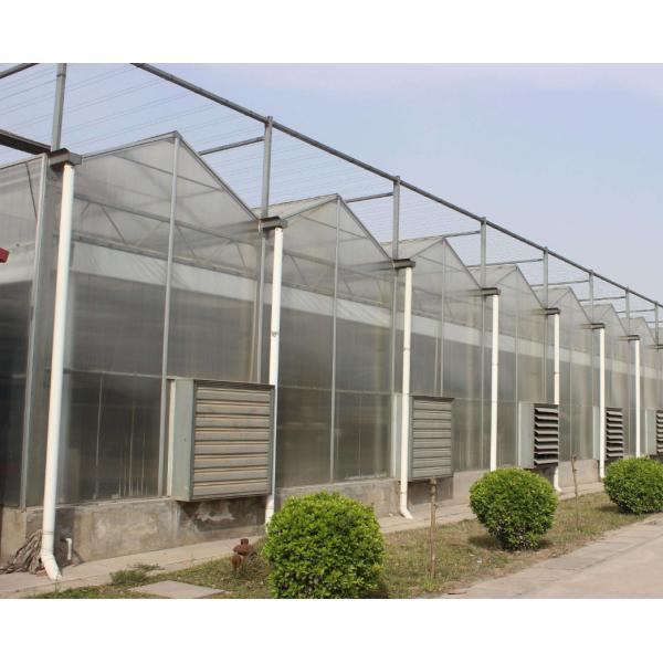 Multi Span Polycarbonate Greenhouse