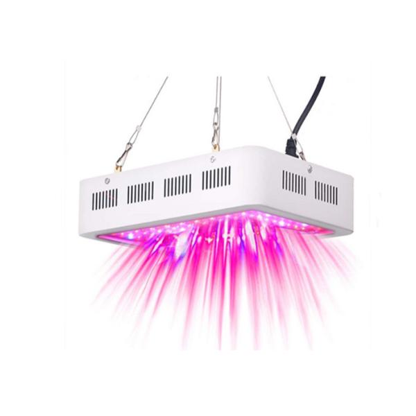 Dual Chip LED Plant Grow Light Strong Brightness With Long Lifespan 600W - 2000W