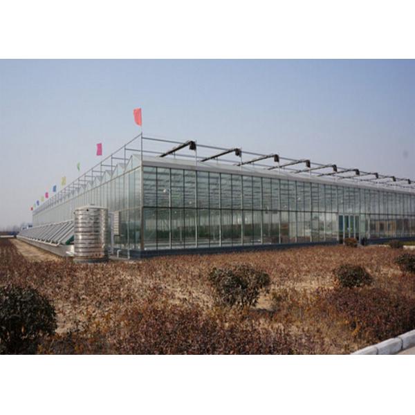 Commercial Glass Greenhouse , Hydroponic Greenhouse With Climate Control System