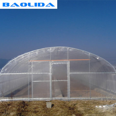 Custom Good Stability Tunnel Plastic Greenhouse With Metal Greenhouse Frame