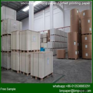  60gsm 70gsm 80gsm Bulky Book Paper / Book Paper Manufactures
