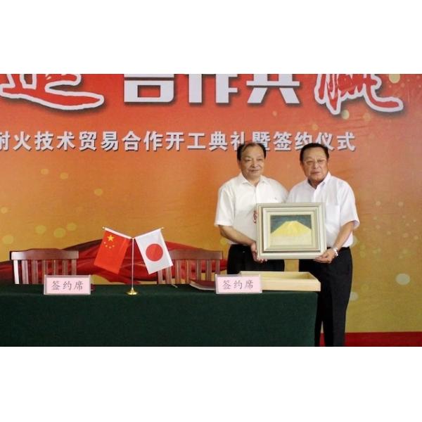Clay Bonded Silicon Carbide Refractory Block For Furnace Refractory Materials