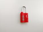 Durable TSA Travel Locks ABS Material TSA Number Lock 28.8g Weight For Bag