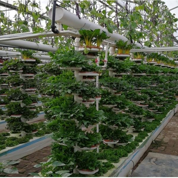 Po/PE Film Hydroponic Greenhouse For Vegetables Double Layer