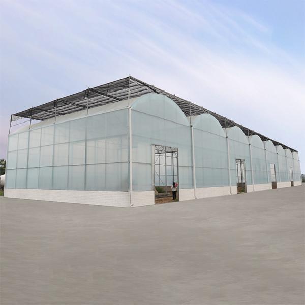Agriculture Hydroponic System High Tunnel Greenhouse Uv Film Multi Span