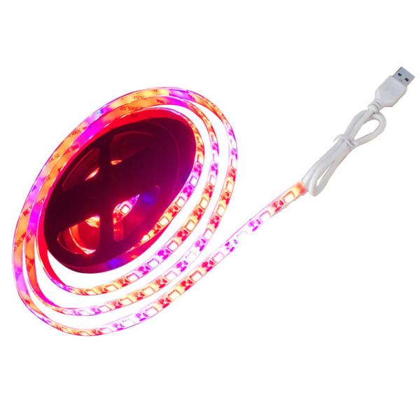 5M Phyto Lamps 300 LEDs 5050 Chip Fitolampy LED Grow Lights