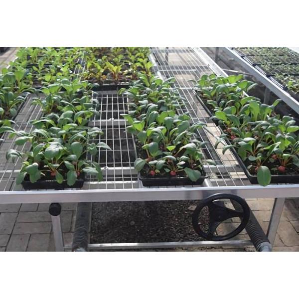Greenhouse 3×3mm Welded Wire Mesh High Load Capacity And Air Flow