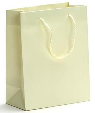 Matt Paper Shopping Bags