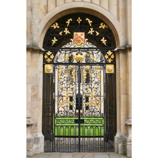 Swing Wrought Iron Electric Gates Powder Coated With ISO14001 Certified