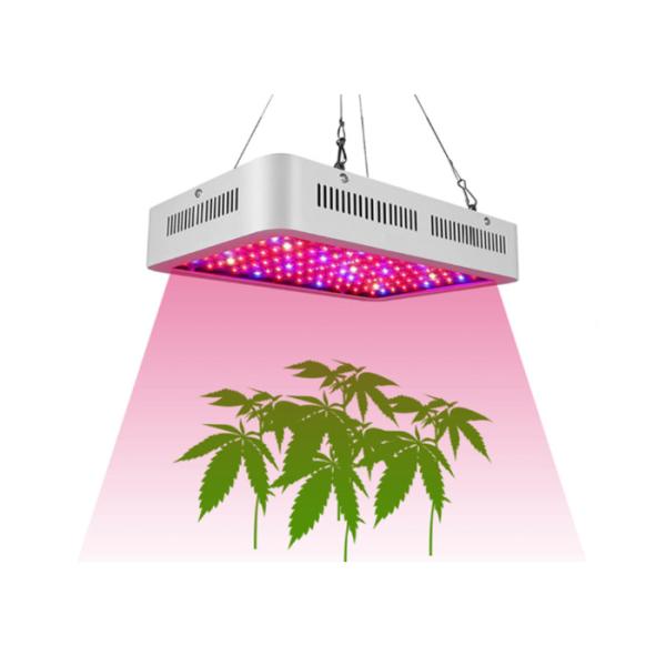 1000 Watt Full Spectrum LED Grow Lights For Indoor Hydroponics Plants