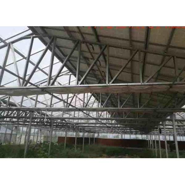 Agricultural Solar PV System Multi Span Polycarbonate Sheet 3 - 10m Height