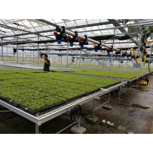 Rolling Wire Greenhouse Growing Beds