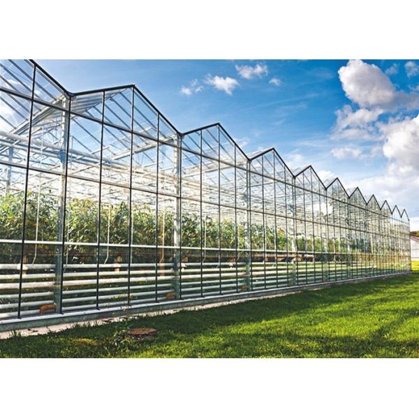 Solar Glass Greenhouse Low Heat Consumption Even Indoor Light Distribution