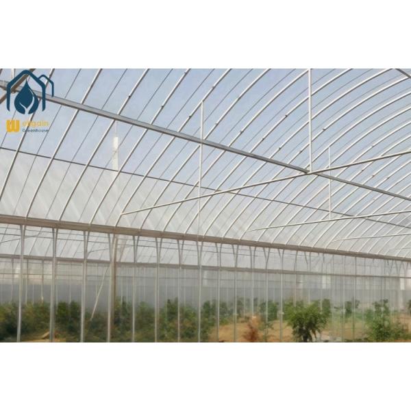 Agriculture Multi Span Poly Tunnel Greenhouse Environment Friendly For Vegetables
