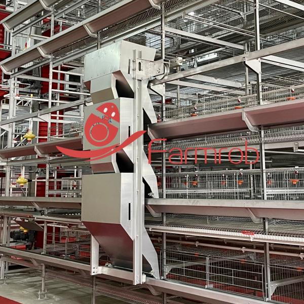 Multi Tier Automatic Poultry Feeding System H Type For Layer Battery Cage