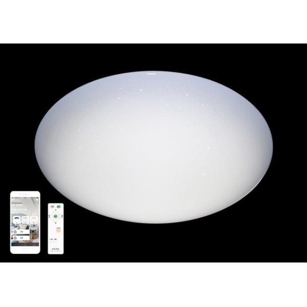 Simple Installation Remote Control Light Fixtures With WiFi / Remote / Wall Switch Control