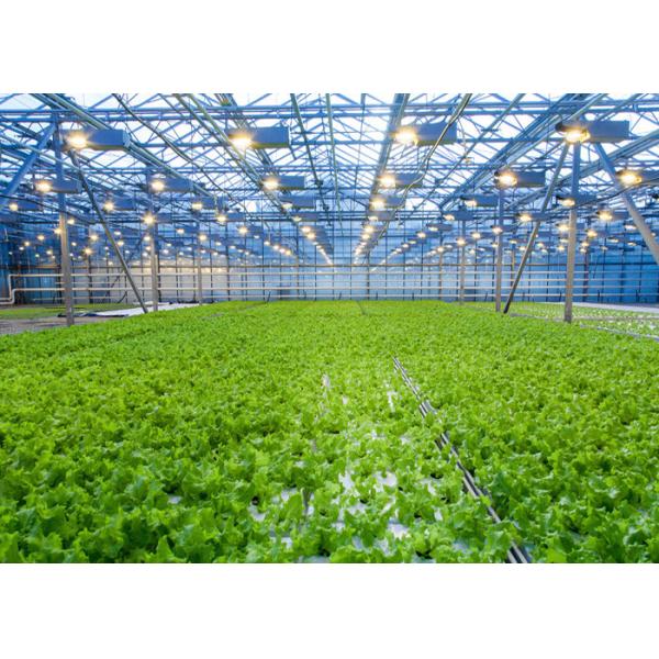 Glass Intelligent Automatic Greenhouse Customized Size Good Weather Resistance