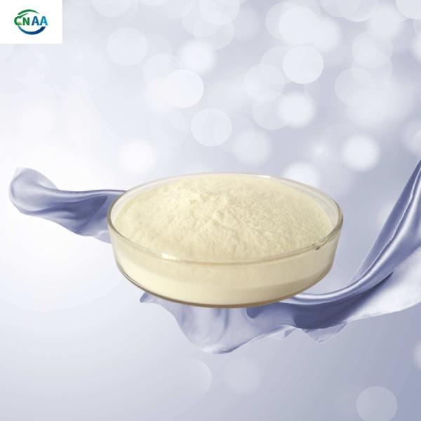 Hydrolyzed Silk Amino Acid 90% Silk Protein For Body Care Silk Powder
