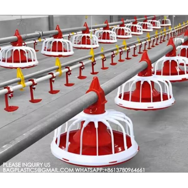 Agricultural Products Automatic Chicken Feeder Agricultural Greenhouses Animals Feeder