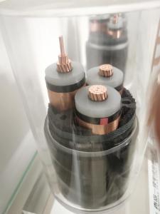  Copper Conductor XLPE Insulated Electric Power Cables Manufactures
