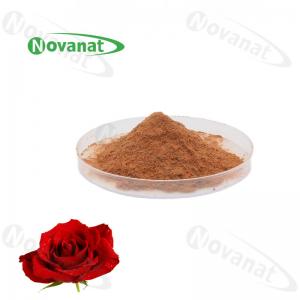 China Antifatigue Rose Flower Extract Powder 4/120% And 25% Polyphenols/Food Beverage on sale