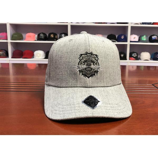 Hot Sales ACE Custom Unisex 6 panels Cotton Fabric Flat Embroidery Lion Logo Metal Back Closure Baseball Cap