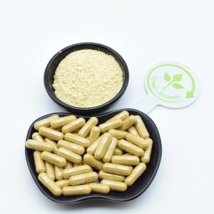  99% Panax Ginseng Root Extract Ginseng Powder For Skin Products Manufactures