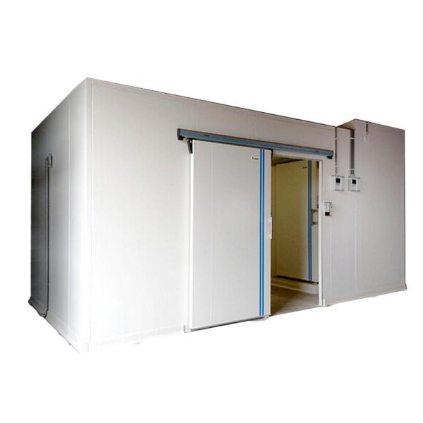 Insulated Doors Cold Room with Energy Saving for Fish Storage Food Storage Cold Room