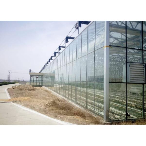 Insulated Aluminium Profile 10m Agricultural Greenhouse