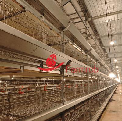 6 Tiers Long Lasting Poultry Battery Cage System with Minimal Maintenance Needs