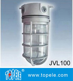 100W 220V Brozen, Gray IP65 Die-Cast Aluminum  Vapor Proof Lights, Led Flood Lights