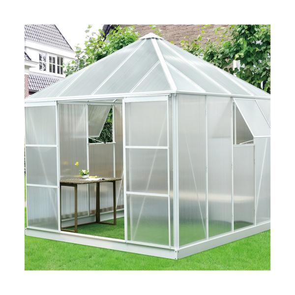 6 X 8 8 X 10 Polycarbonate Greenhouse with 2 wall windows
