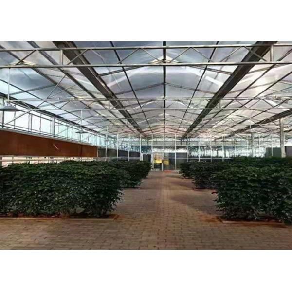 Solar Glass Greenhouse Low Heat Consumption Even Indoor Light Distribution