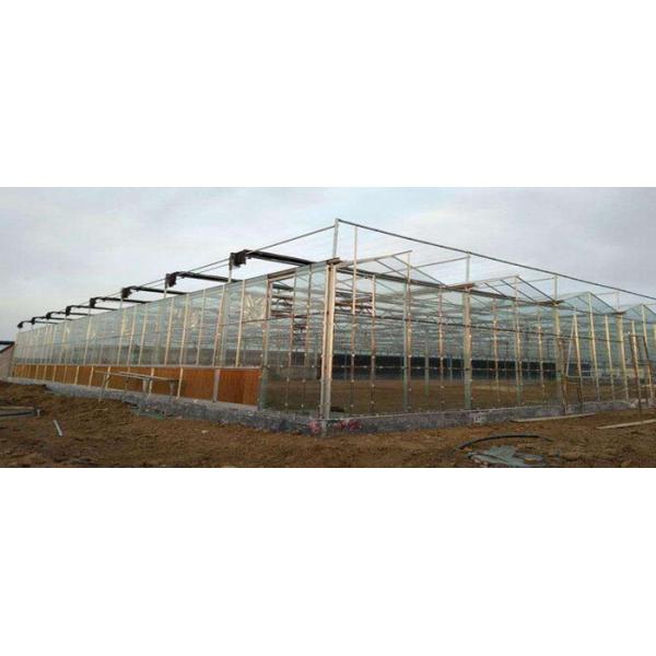 Multi Span Modern Plant Construction Agricultural Greenhouse