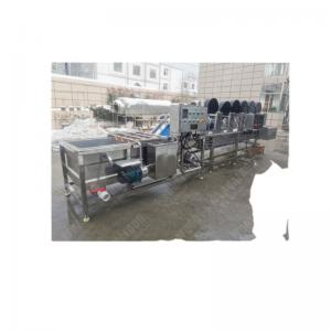  FUSHI lemon processing line orange fruit sorting washing drying waxing machine Manufactures