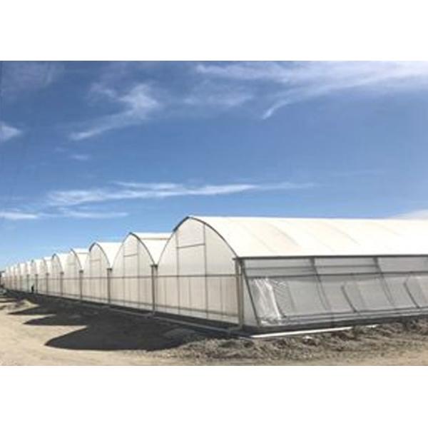 Smart Control Plastic Film Greenhouse , Flower / Vegetable Agricultural