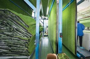  Durable Houses Indoor Grass Mat / Synthetic Green Plastic Grass Door Mats Manufactures
