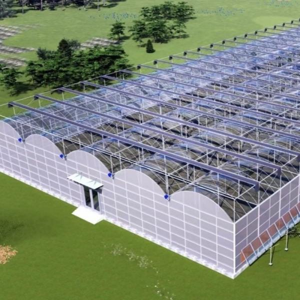 Roofing Shape Arched Roof Eco Greenhouse for Vegetables/Grow Saplings Hot Water Heating