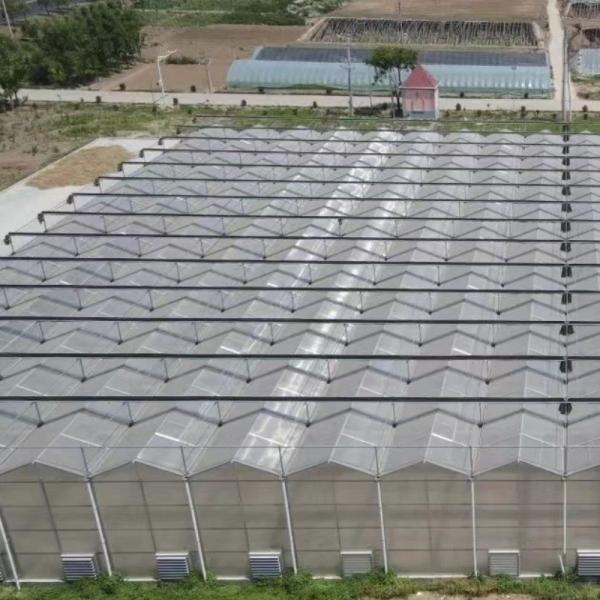 JX-A006 Large Size Venlo PC Polycarbonate Greenhouse for Commercial and Agricultural