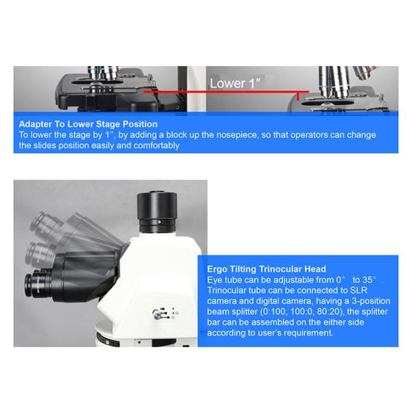 OPTO EDU A16.1093-L Trinocular LED Upright Fluorescent Light Microscope Semi Auto