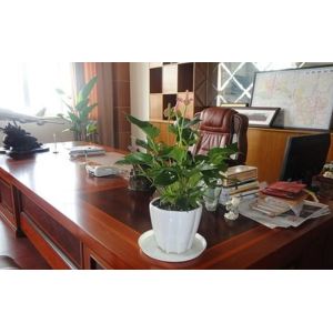 Chongqing Qing Cheng Agricultural Science And Technology Co., Ltd.
