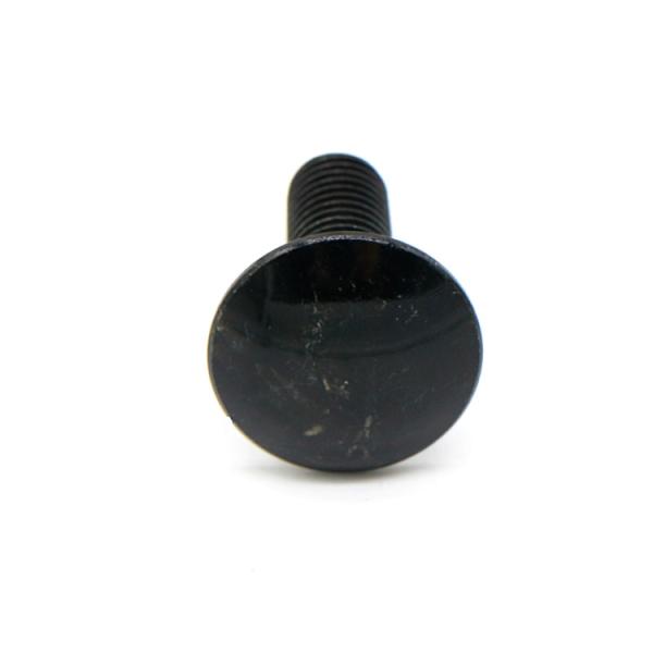 Black Round Head Square Neck Bolt Zinc Plated Smooth Domed Head M12 M16