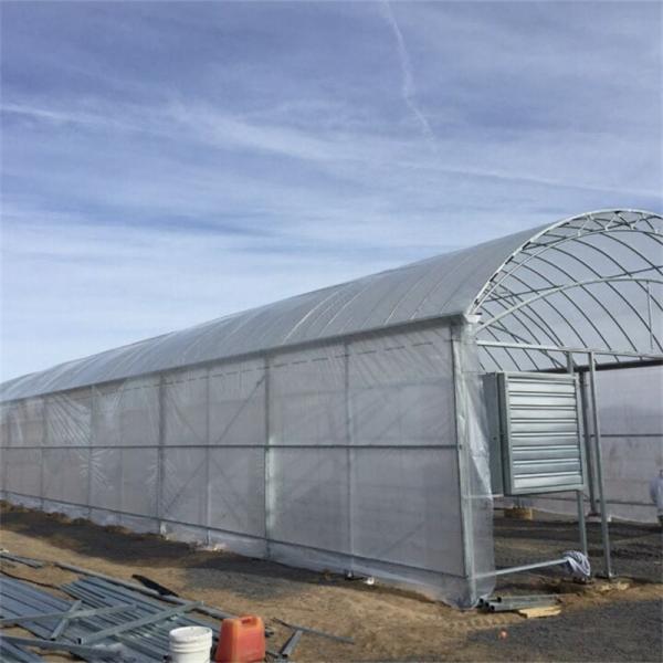 Poly Plastic Film Single Span Greenhouse Hot Galvanized Steel Frame Anti Uv