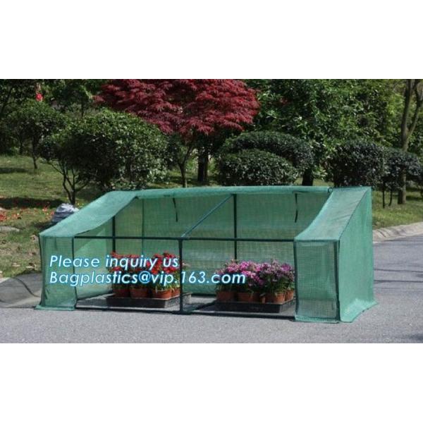 agricultural cheap green house,home garden green house, small garden house,durable waterproof aluminium winter garden