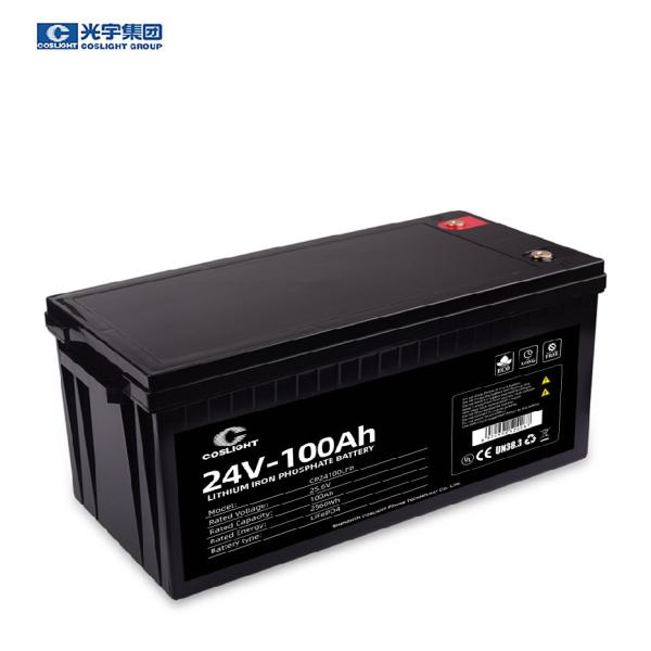Solar Inverter 24V100Ah Deep Cycle Battery Pack UPS LiFePO4 Lithium