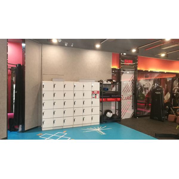 White Storage Locker For School , 4 Tier Plastic Gym Lockers With Software