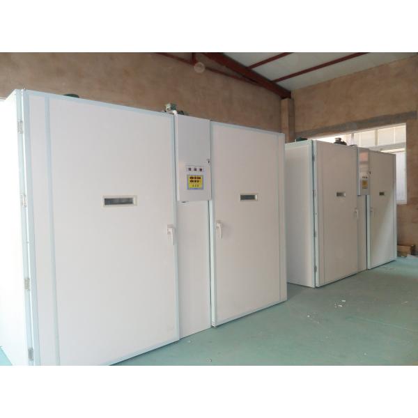 63648 Automatic Single Stage Incubator Hatcher Combo Poultry Incubator Machine