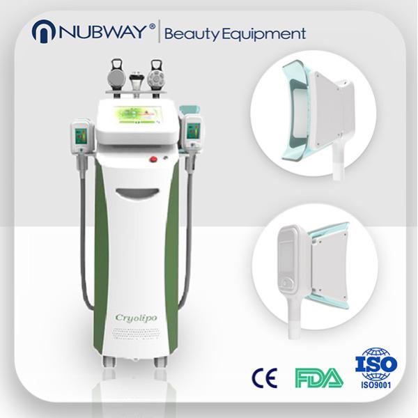 For sale! Factory direct sale! hot sale top quality cryolipolysis fat removal machine