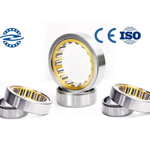 OEM Cylindrical Roller Bearing NJ1005M 25mm * 47mm * 12mm Sample Avaliable