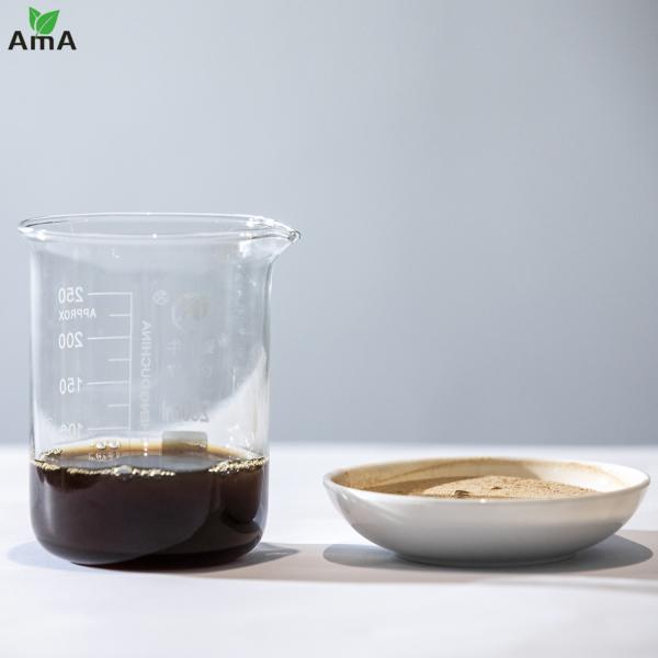 Soy Bean Source Amino Acid Organic Fertilizer 40% Brown Powder For Organic Agriculture